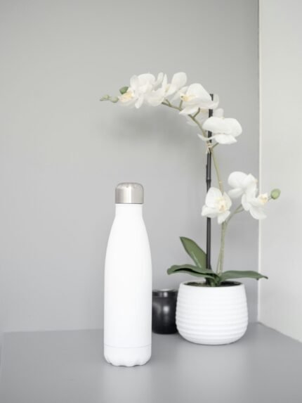 Stainless Steel Insulated Water Bottle, 750ml Leakproof Travel Bottle